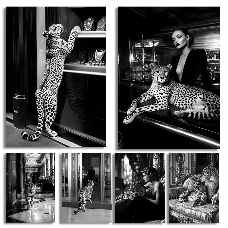 Black and White Fashion Magazi - Women'S Fashion Magazines review and price